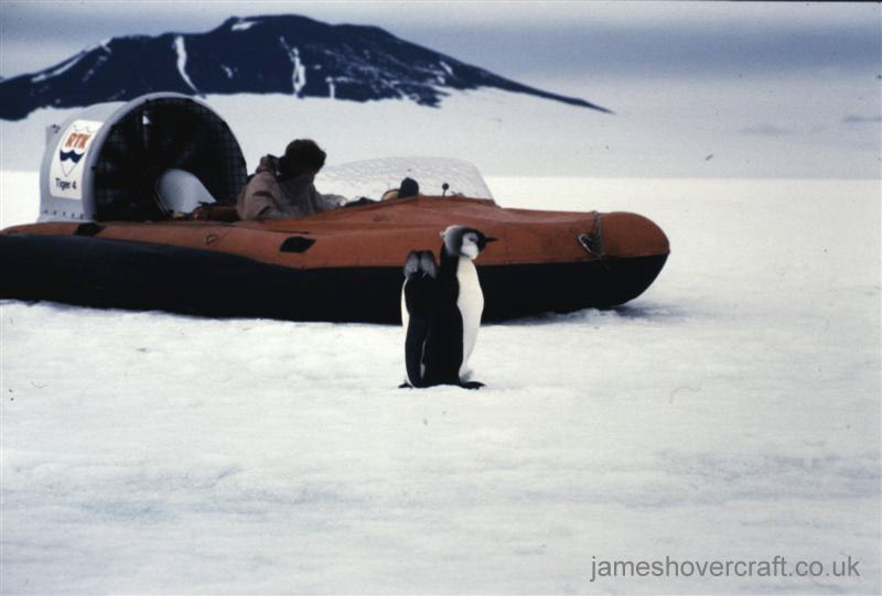 Tiger 4 hovercraft as used in the 70s by the British Antarctic Survey - Proof of the antarctic! Tiger 4 and the penguins (credit: Malcolm Hole).